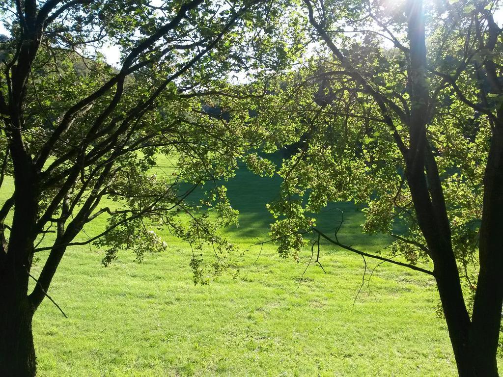 拉凯斯塔德提利欧住宿加早餐旅馆 奥卡纳诺 外观 照片
